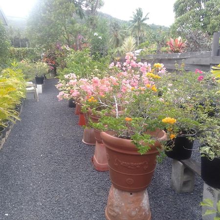 Te Moana Nui Villas Arorangi Bagian luar foto
